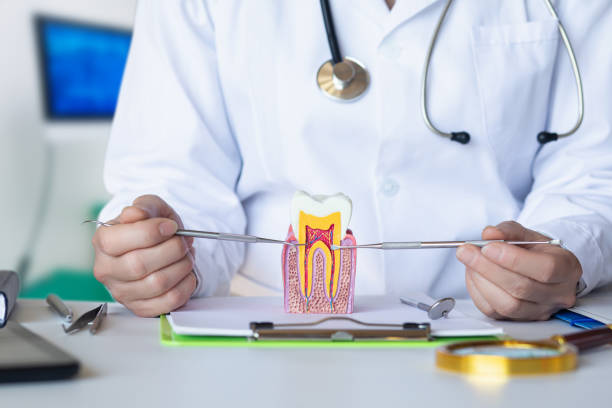 Best Pediatric Emergency Dentist in Centerburg, OH